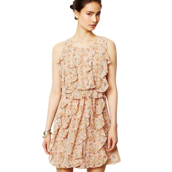 Anthropologie Dresses & Skirts - Anthropologie Sachin Babi Floral Senna Dress